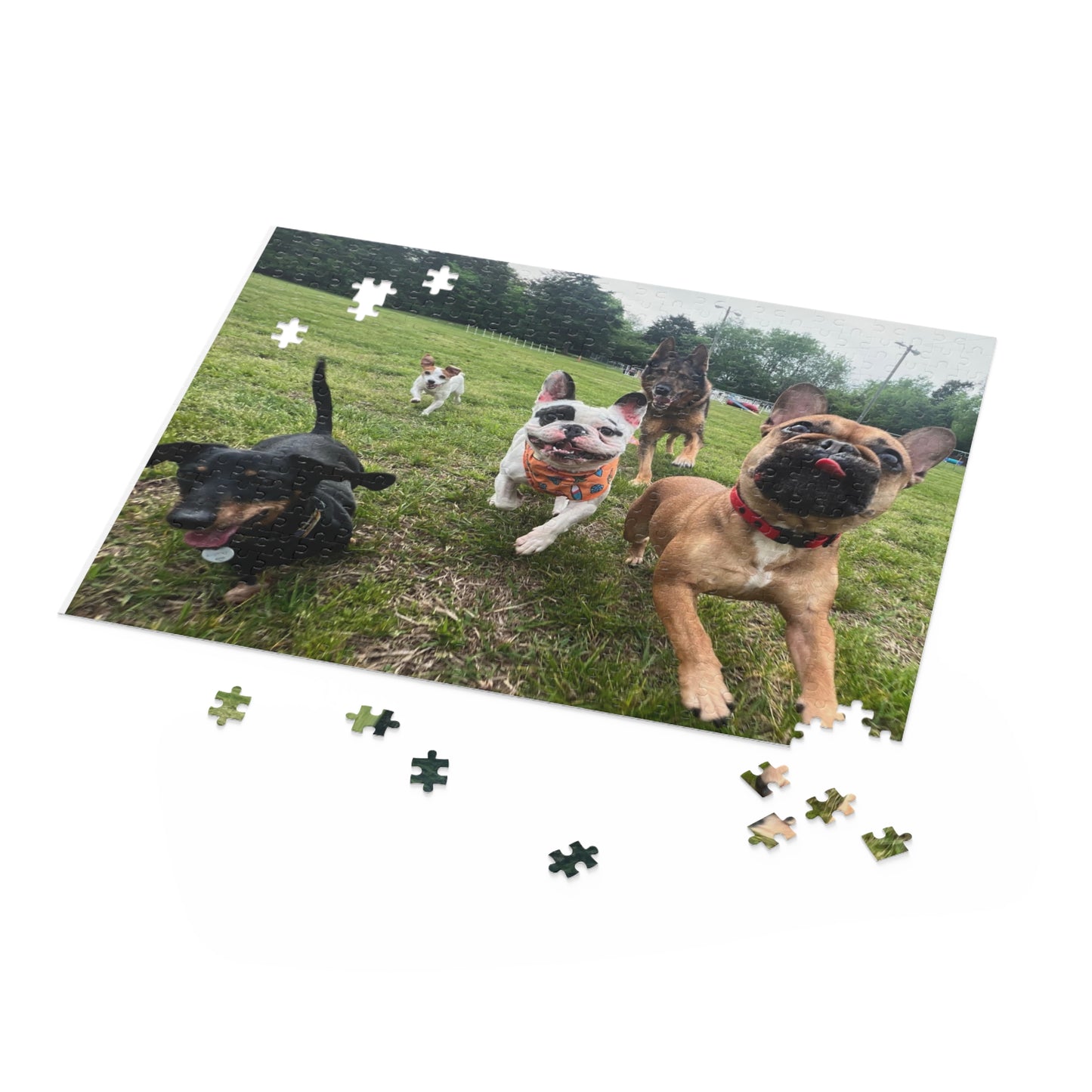 Ralphieland Jigsaw Puzzle #1: "Welcome Home Ralphie!"