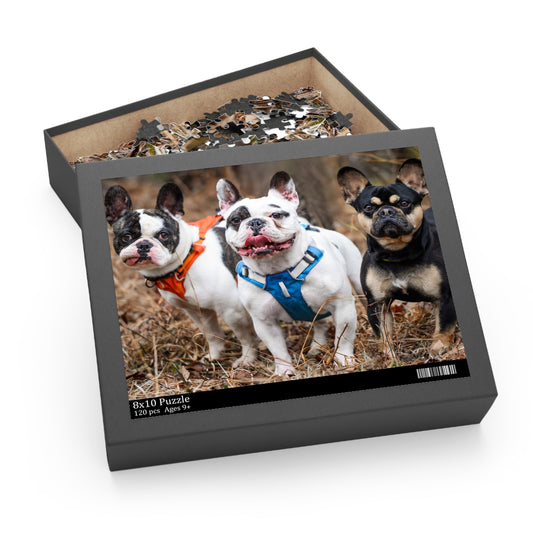 Ralphieland Jigsaw Puzzle #2: "The Three Amigos"