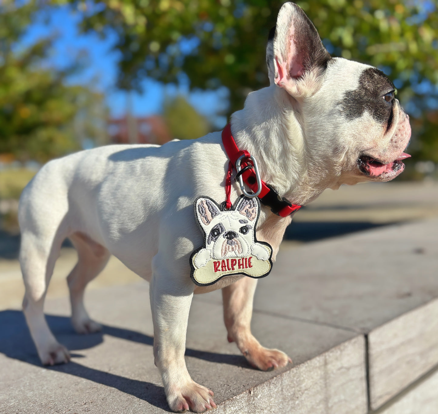 Ralphie Christmas Ornament