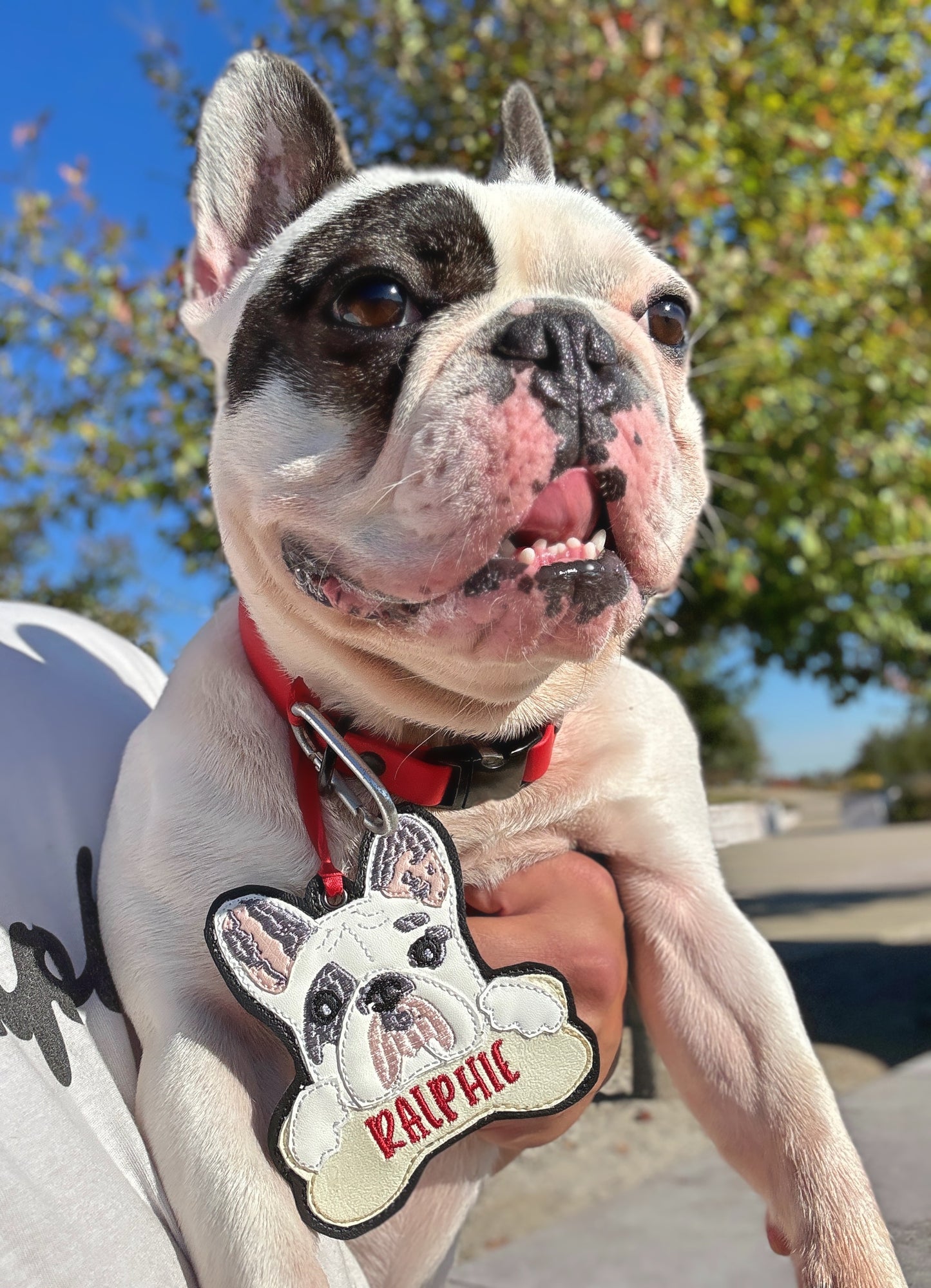 Ralphie Christmas Ornament